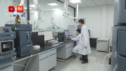 你好 我的城丨高质量检测 服务品质生活